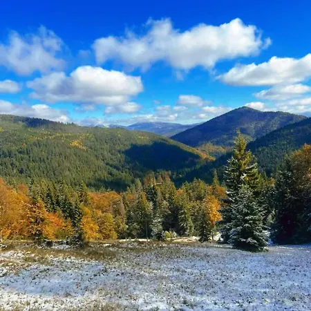 Чарівні Карпати 別荘 Synevyrsʼka Polyana